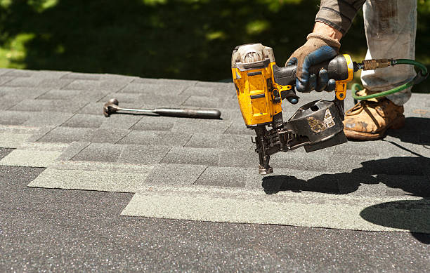 Best Roof Gutter Cleaning  in Lowes Island, VA